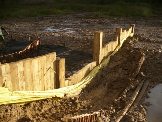 Budowa urządzeń wodnych oraz stawów dla płazów.