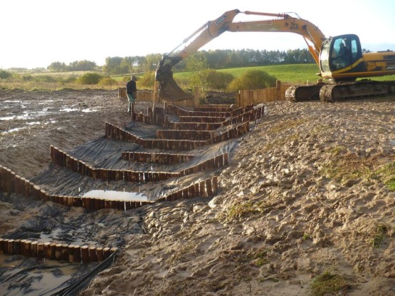 Budowa urządzeń wodnych oraz stawów dla płazów.