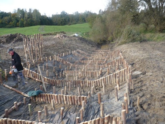 Budowa urządzeń wodnych oraz stawów dla płazów.