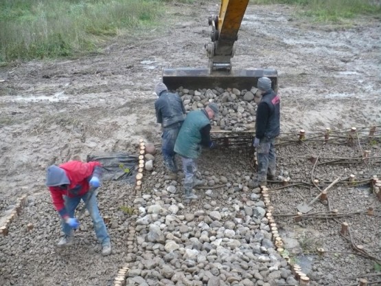Budowa urządzeń wodnych oraz stawów dla płazów.