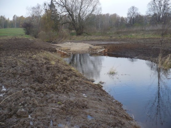 Budowa urządzeń wodnych oraz stawów dla płazów.