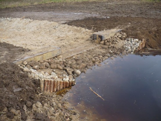 Budowa urządzeń wodnych oraz stawów dla płazów.