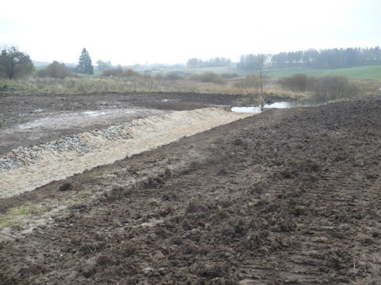 Budowa urządzeń wodnych oraz stawów dla płazów.