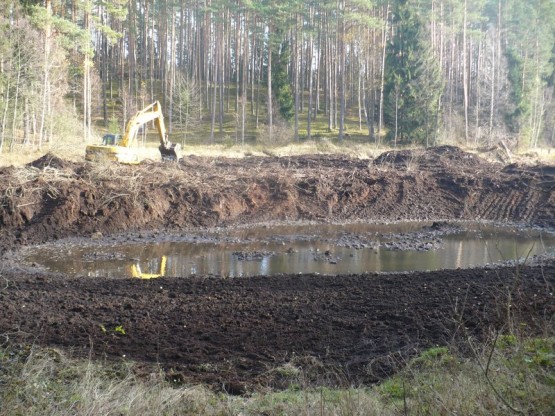 Budowa obiektów hydrotechnicznych w ostojach żółwia błotnego.