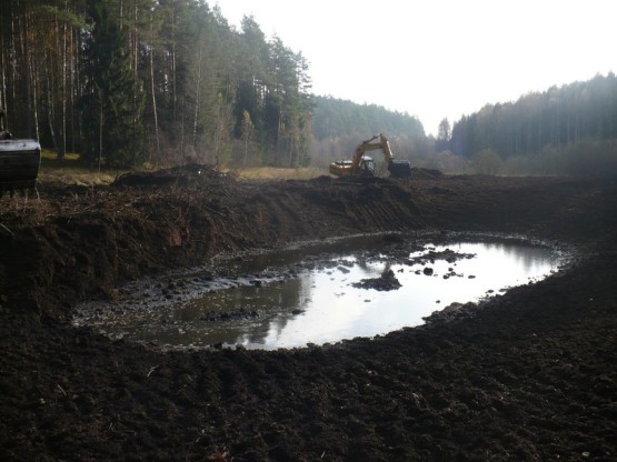 Budowa obiektów hydrotechnicznych w ostojach żółwia błotnego.