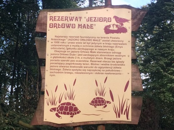 Budowa obiektów hydrotechnicznych w ostojach żółwia błotnego.