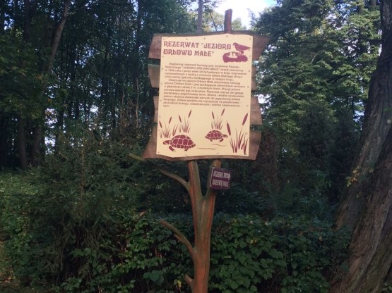 Budowa obiektów hydrotechnicznych w ostojach żółwia błotnego.