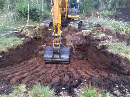 Budowa obiektów hydrotechnicznych w ostojach żółwia błotnego.
