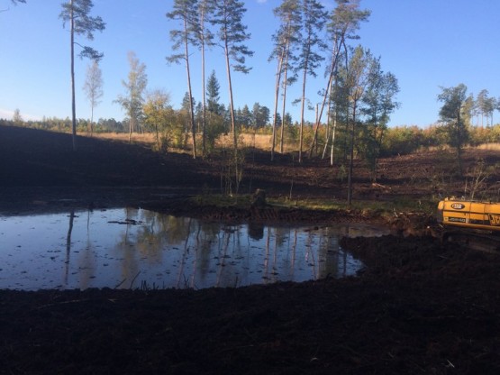 Budowa obiektów hydrotechnicznych w ostojach żółwia błotnego.