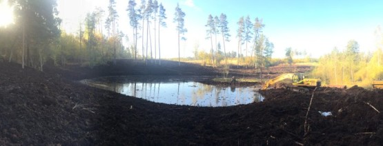 Budowa obiektów hydrotechnicznych w ostojach żółwia błotnego.