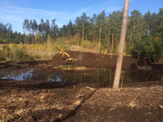 Budowa obiektów hydrotechnicznych w ostojach żółwia błotnego.
