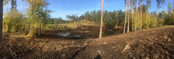 Budowa obiektów hydrotechnicznych w ostojach żółwia błotnego.
