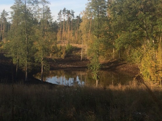 Budowa obiektów hydrotechnicznych w ostojach żółwia błotnego.