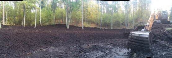 Budowa obiektów hydrotechnicznych w ostojach żółwia błotnego.