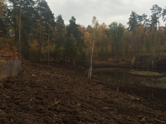 Budowa obiektów hydrotechnicznych w ostojach żółwia błotnego.