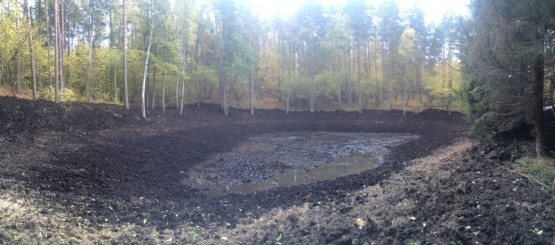 Budowa obiektów hydrotechnicznych w ostojach żółwia błotnego.